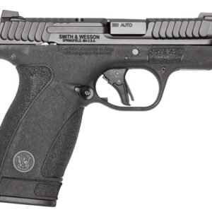 S&W BODYGRD 2.0 13927 380 2.75 10/12R