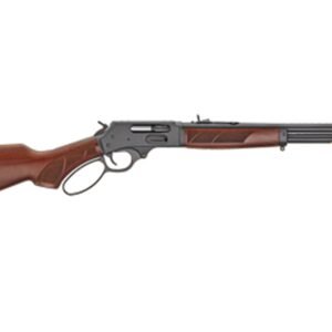 HENRY STEEL LVR ACTN SG 45-70
